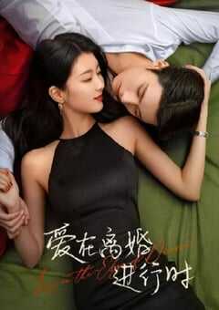 2025年国产大陆电视剧《爱在离婚进行时》全31集 4K网盘迅雷下载