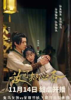 2024年国产大陆电视剧《汝可知心否》全24集 4K网盘迅雷下载