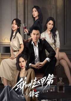 2025年国产大陆电视剧《我叫赵甲第之锋芒》全23集 4K网盘迅雷下载