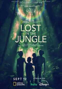 2025年美国纪录片《迷失丛林》HD英语中字 4K网盘迅雷下载