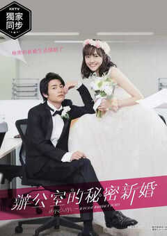 2020年日本电视剧《新婚甜心是同事》连载至07 4K网盘迅雷下载