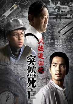 2009年国产经典动作片《火线追凶之突然死亡》HD国语中字 4K网盘迅雷下载