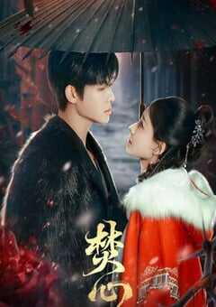 2025年国产大陆电视剧《焚心》全23集 4K网盘迅雷下载