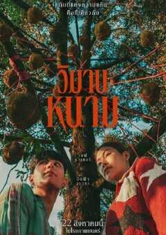 2024年泰国剧情片《荆棘天堂》HD泰语中字 4K网盘迅雷下载