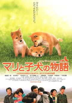 2007年日本经典剧情片《爱犬的奇迹》蓝光日语中字 4K网盘迅雷下载