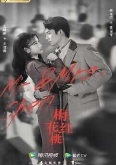 2023年国产大陆电视剧《梅花红桃》全32集 4K网盘迅雷下载