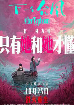 2025年国产剧情片《下一个台风》HD国语中英双字 4K网盘迅雷下载
