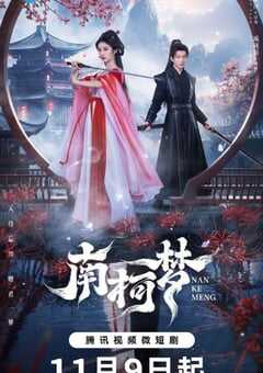 2024年国产大陆电视剧《南柯梦》全24集 4K网盘迅雷下载