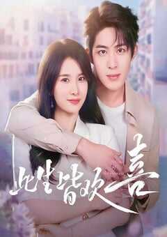 2025年国产大陆电视剧《此生皆欢喜》全18集 4K网盘迅雷下载