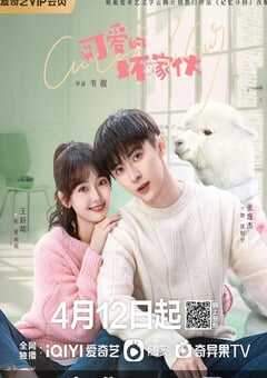 2023年国产大陆电视剧《可爱的坏家伙》全23集 4K网盘迅雷下载