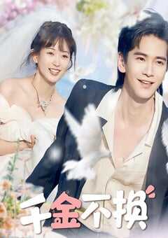 2025年国产大陆电视剧《千金不换》全20集 4K网盘迅雷下载