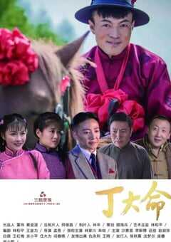 2018年国产大陆电视剧《丁大命》全40集 4K网盘迅雷下载