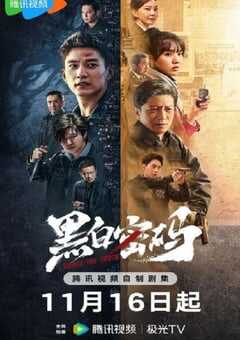 2023年国产大陆电视剧《黑白密码》全24集 4K网盘迅雷下载