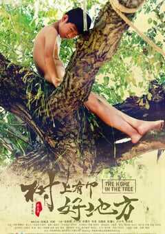 2019年国产8.0分喜剧儿童片《树上有个好地方》BD国语中字 4K网盘迅雷下载