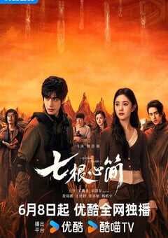 2025年国产大陆电视剧《七根心简》全32集 4K网盘迅雷下载