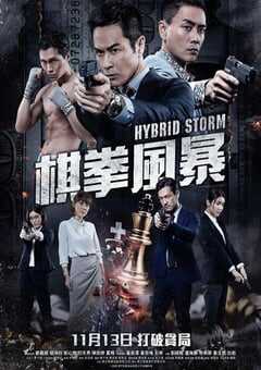 2025年国产犯罪片《棋拳风暴》HD国粤双语中英双字 4K网盘迅雷下载