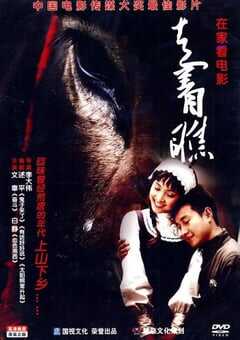 2009年国产经典剧情片《走着瞧》HD国语中英双字 4K网盘迅雷下载