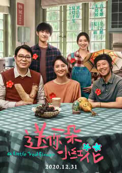 2020年国产7.5分剧情片《送你一朵小红花》HD国语中字 4K网盘迅雷下载