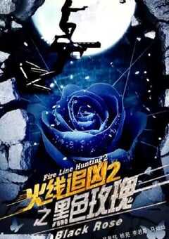 2013年国产经典动作片《火线追凶2之黑色玫瑰》HD国语中字 4K网盘迅雷下载