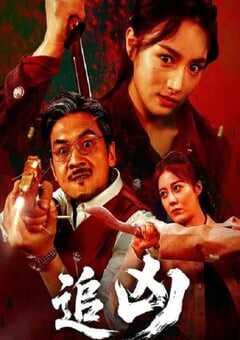 2025年国产动作片《追凶》HD国语中字 4K网盘迅雷下载