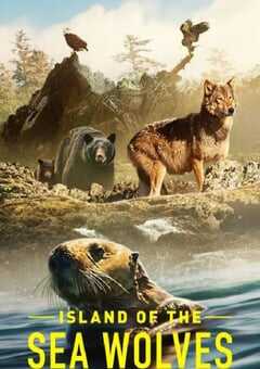 2022年英国纪录片《海狼之岛》全3集 4K网盘迅雷下载