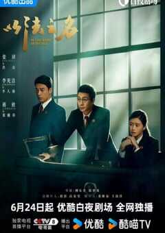 2025年国产大陆电视剧《以法之名》全36集 4K网盘迅雷下载