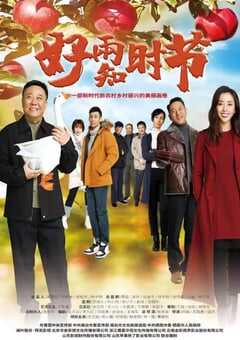 2021年国产大陆电视剧《苹果熟了》全36集 4K网盘迅雷下载