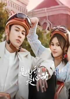 2025年国产大陆电视剧《是风动、是心动》全24集 4K网盘迅雷下载