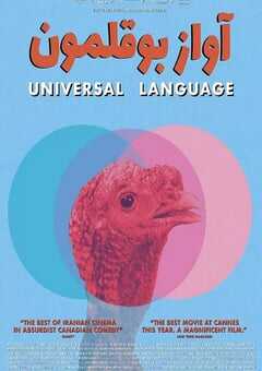 2024年加拿大7.6分剧情片《共同的语言》BD法语中字 4K网盘迅雷下载