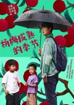 2024年国产剧情片《杨梅成熟的季节》HD中英双字 4K网盘迅雷下载