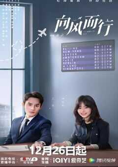 2022年国产大陆电视剧《向风而行》全39集 4K网盘迅雷下载