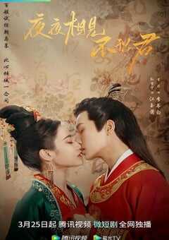 2023年国产大陆电视剧《夜夜相见不识君》全24集 4K网盘迅雷下载