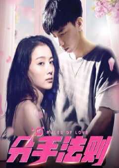 2019年国产爱情片《分手法则》HD国语中字 4K网盘迅雷下载