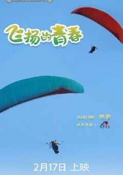 2024年国产大陆短剧《飞扬的青春》全24集 4K网盘迅雷下载