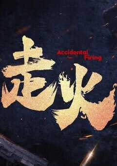 2025年国产大陆电视剧《走火》全24集 4K网盘迅雷下载