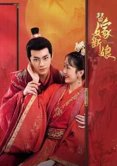 2023年国产大陆电视剧《替嫁新娘》全30集 4K网盘迅雷下载