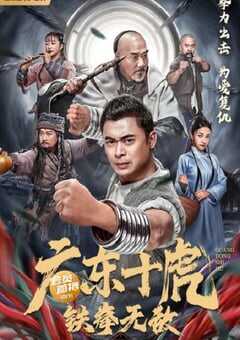 2022年国产动作武侠片《广东十虎：铁拳无敌》HD国语中字 4K网盘迅雷下载