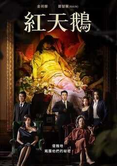 2024年韩国电视剧《红天鹅》全10集 4K网盘迅雷下载