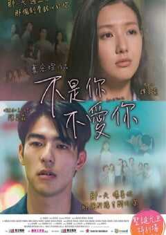 2024年中国香港爱情片《不是你不爱你》BD国粤双语中字 4K网盘迅雷下载