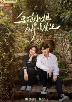 2021年国产大陆电视剧《乌鸦小姐与蜥蜴先生》全36集 4K网盘迅雷下载