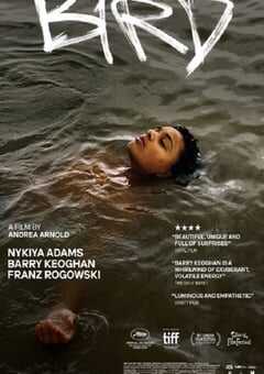 2024年英国剧情片《鸟》BD中英双字 4K网盘迅雷下载