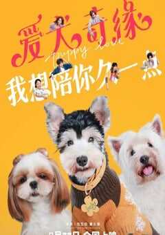 2023年国产爱情片《爱犬奇缘》HD国语中字 4K网盘迅雷下载