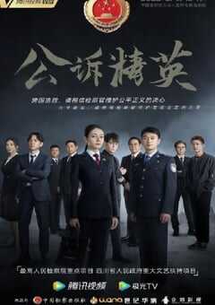 2023年国产大陆电视剧《公诉》全40集 4K网盘迅雷下载