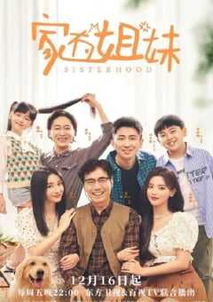 2022年国产大陆电视剧《家有姐妹》全24集 4K网盘迅雷下载