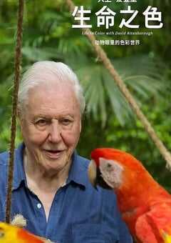 2021年英国纪录片《生命之色》全4集 4K网盘迅雷下载