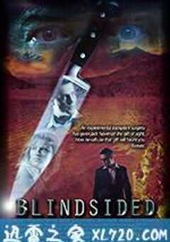 盲眼杀机 Blindsided (2017) 4K网盘迅雷下载