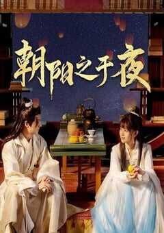 2025年国产大陆电视剧《朝阳之于夜》全24集 4K网盘迅雷下载