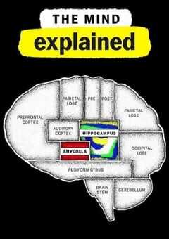 2021年美国纪录片《头脑解密 第二季》全5集 4K网盘迅雷下载