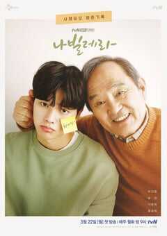 2021年韩国电视剧《如蝶翩翩》全12集 4K网盘迅雷下载