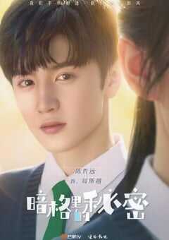 2021年国产大陆电视剧《暗格里的秘密》全24集 4K网盘迅雷下载